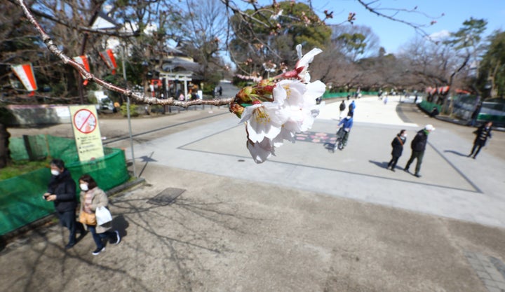 閑散とする上野公園＝3月15日、東京都台東区