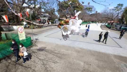 【新型コロナ】ウイルスとの共生に向けて私たちができること