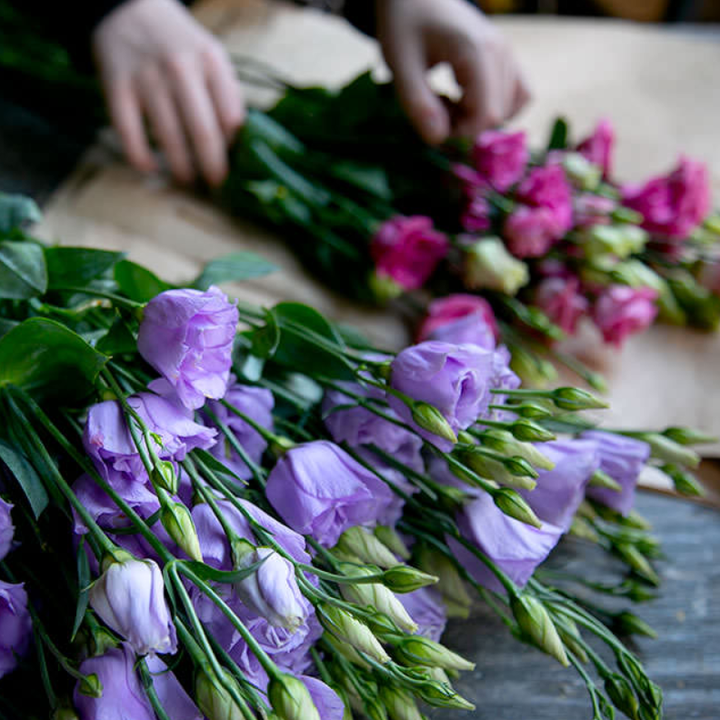 Freddie's Flowers