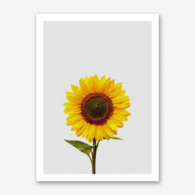 Sunflower Still Life Art Print, Iamfy, £16