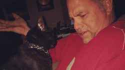 Housebound Pet Owners Share Hilarious Cat Photos During Coronavirus