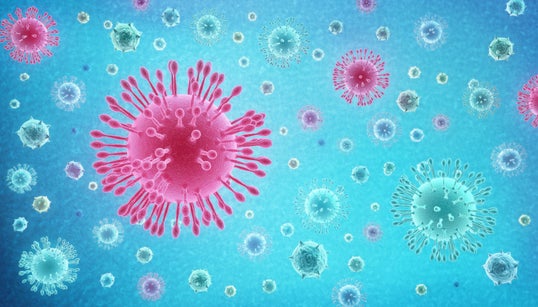 Primeira morte de coronavírus no Brasil é confirmada em São