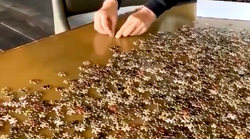 Ellen DeGeneres’ Hilarious 4,000-Piece Puzzle Saga In Self-Isolation Is A Wild