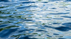 Inondations printanières: la rivière des Prairies sous