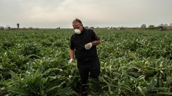 Alimentando a la sociedad, pase lo que