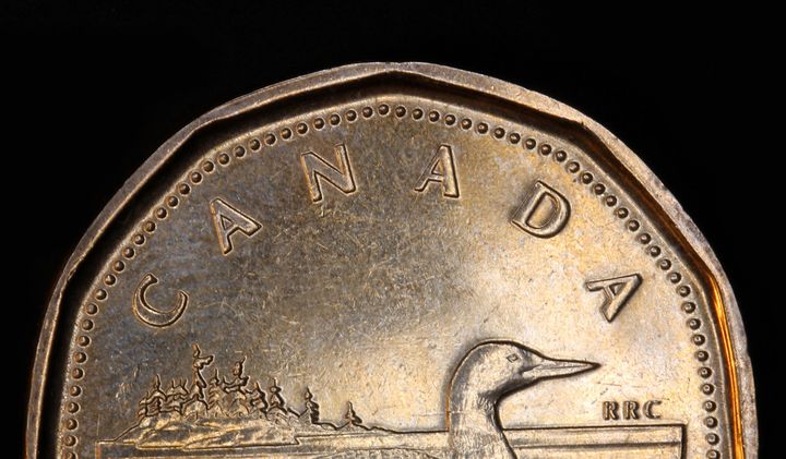 This stock photo shows a close-up of the top half of a Canadian one dollar coin.