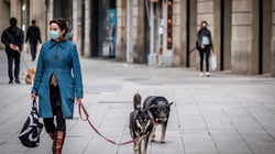 Seis cosas que hacías al sacar al perro y que te pueden costar una multa en el estado de