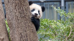 Virtual Tours Of Canadian Museums And Attractions For While You’re Stuck At