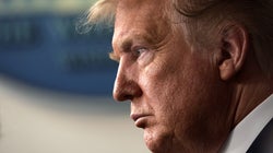 ‘독감‘이라던 트럼프가 ‘처음부터 팬데믹 될 줄 알았다’고