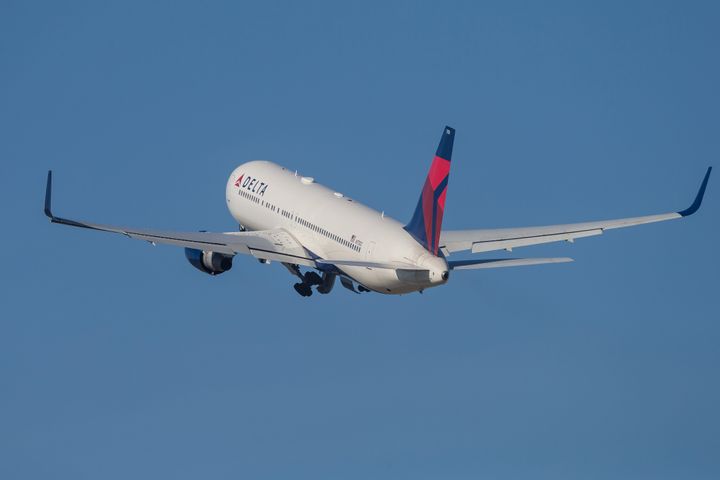 Delta Air Lines vowed to go carbon-neutral by 2050.