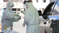 20대도 코로나19서 안전하지 못한 이유: 사이토카인