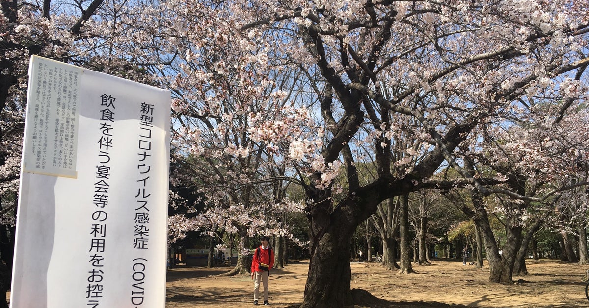 お花見を室内で楽しむ3つの方法 Vrやオンラインで体験 インドア花見を試してみて ハフポスト お花見を室内で楽しむ3つの方法 Vrやオンラインで体験 インドア花見を試してみて ハフポスト