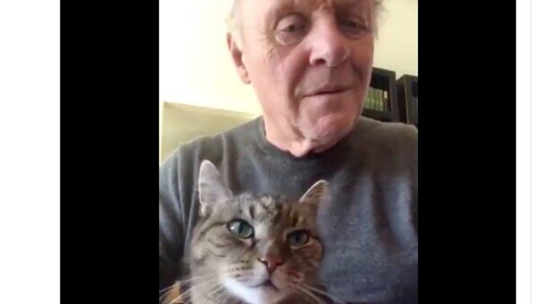 猫 まんぞく アンソニー ホプキンスがピアノを弾いて差しあげる 楽しませるよう求めてくるのだ ハフポスト 猫 まんぞく アンソニー ホプキンスがピアノを弾いて差しあげる 楽しませるよう求めてくるのだ ハフポスト