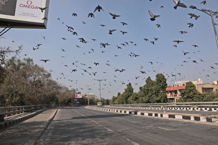 Pigeons fly over a deserted street following a call for lockdown amid growing concerns of coronavirus, in New Delhi, India, Sunday, March 22, 2020. 