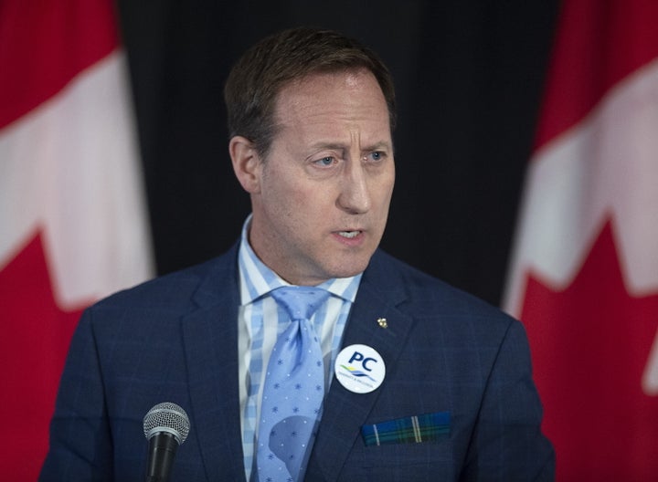 Peter MacKay addresses the crowd during the annual general meeting of the Nova Scotia Progressive Conservative party in Halifax on Feb. 8, 2020.