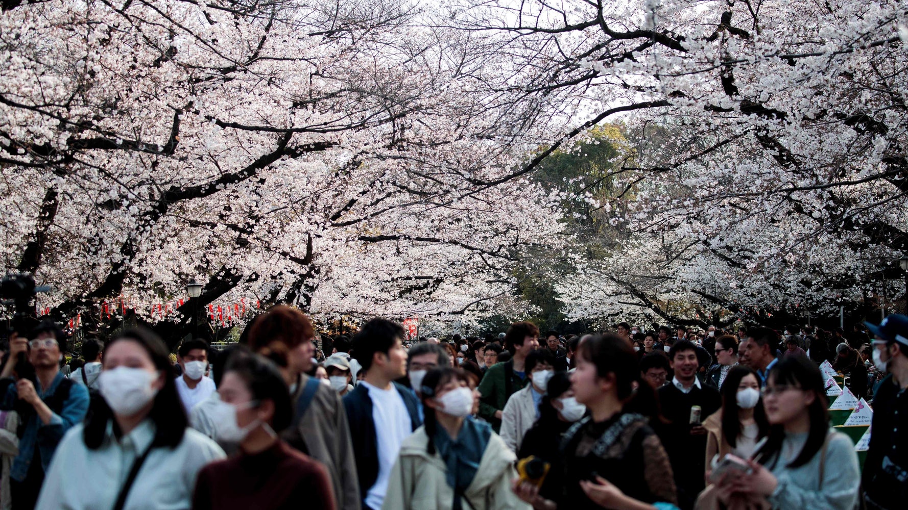 新型コロナ 油断は禁物 日本の花見を海外メディアが報道 警告にも関わらず ハフポスト