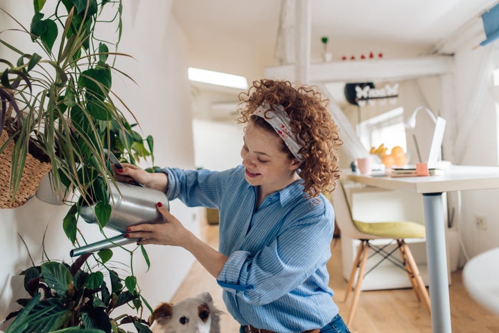 If you can't go outside, bring the outdoors in with these affordable delivery services for indoor plants.