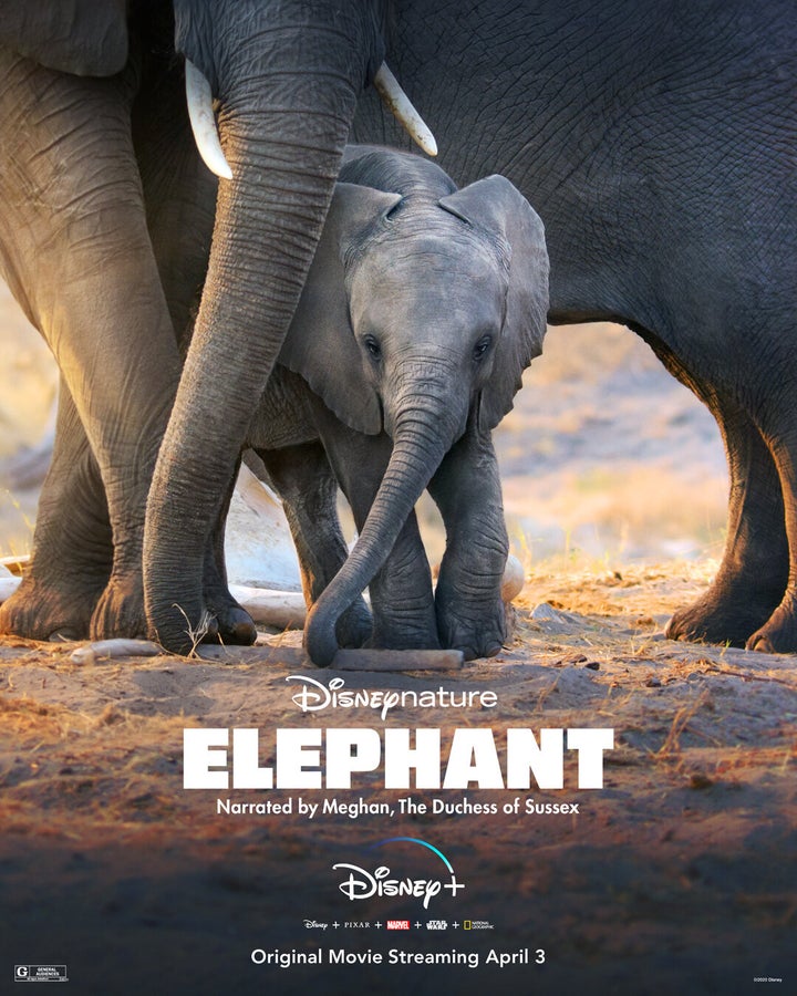 "Elephant," which was released April 3 on Disney Plus, follows a herd of elephants on a monthslong journey to find water. 