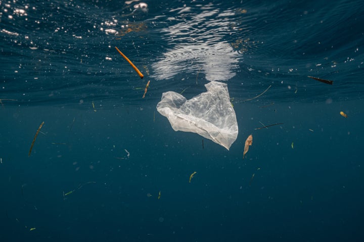 Single-use plastic is a major contributor of pollution in the ocean. It is often found in the stomachs of whales, sea turtles