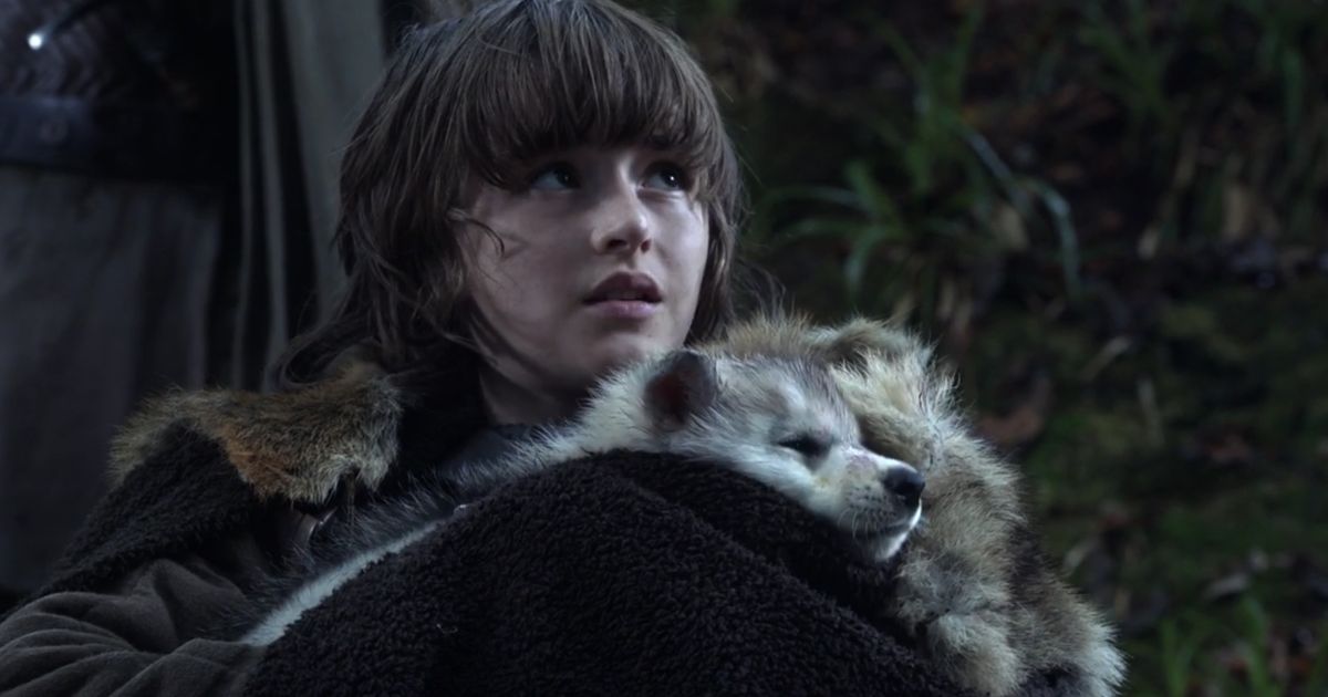 Видео браны. Рикон Старк. Рикон Старк игра престолов. Bran Stark Wolf. Брандон Старк с лютоволком.