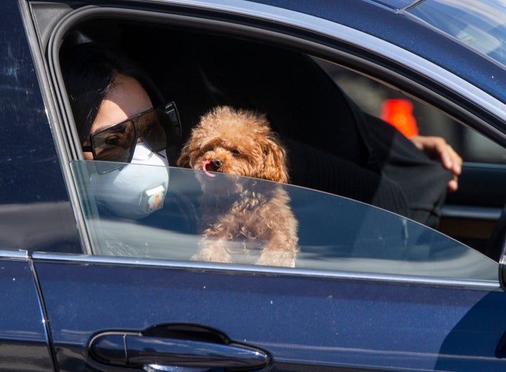 A woman and her dog waiting outside a COVID-19 testing site in South Los Angeles.&nbsp;