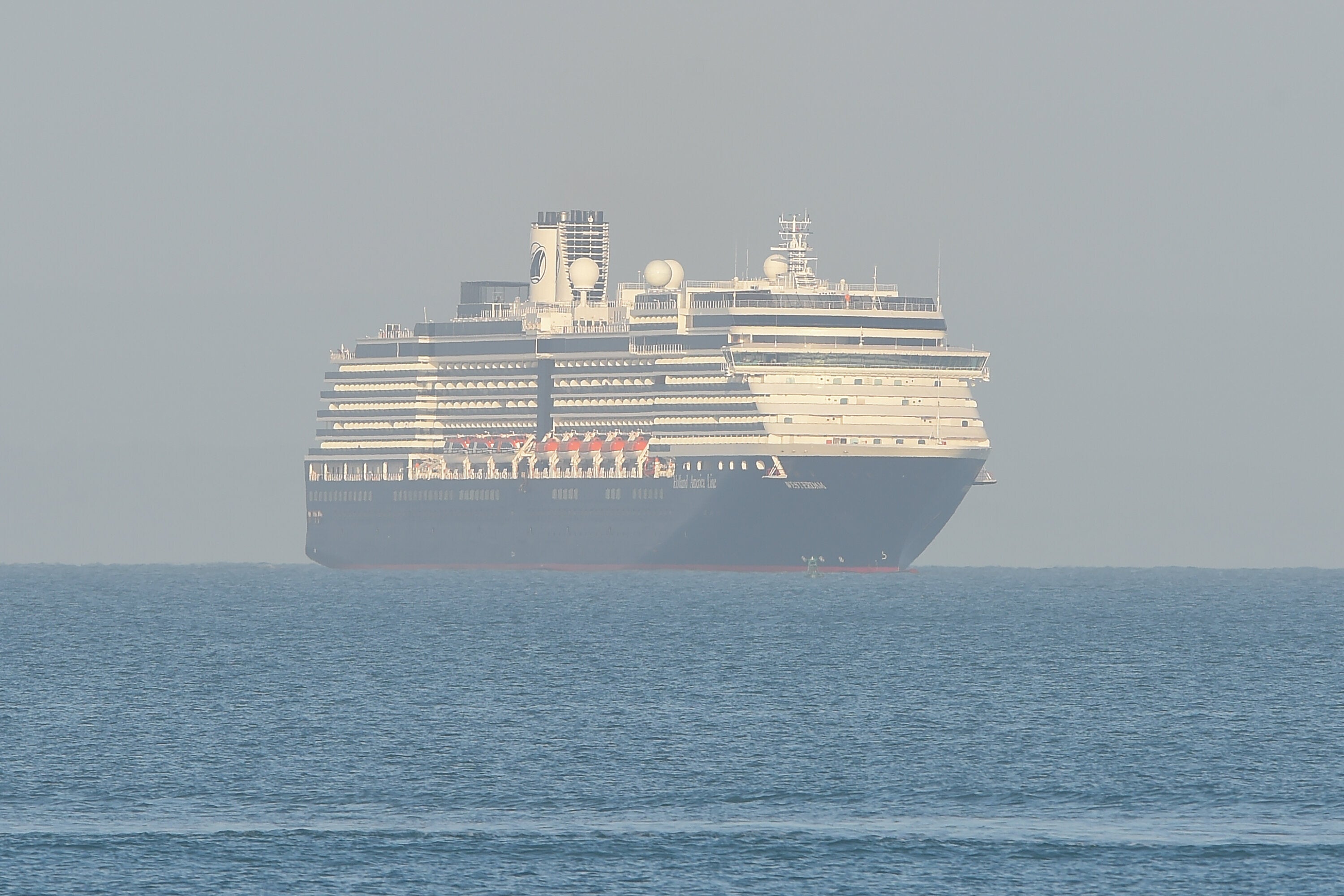 cruise ship covid