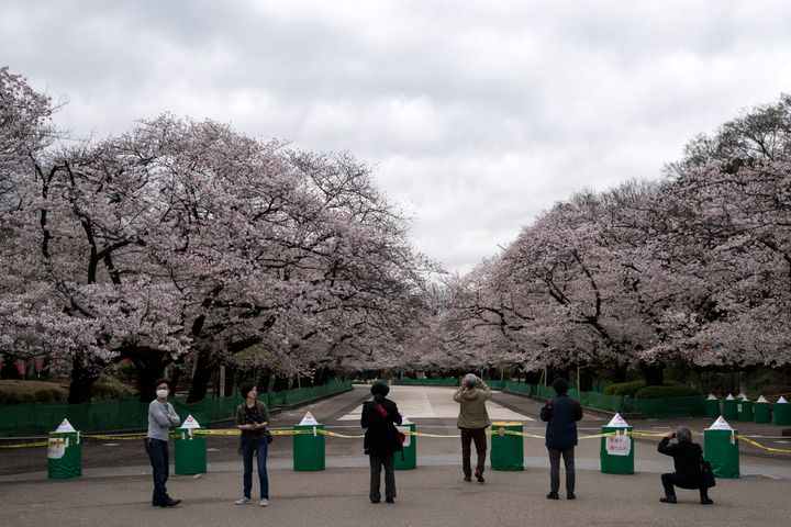 閉鎖された上野公園。桜が見頃の時期だが、上野公園や井の頭公園などは一部通行止めを実施している。