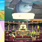 外出しづらい今、知っておきたい「あつまれ