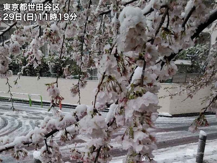 東京都世田谷区