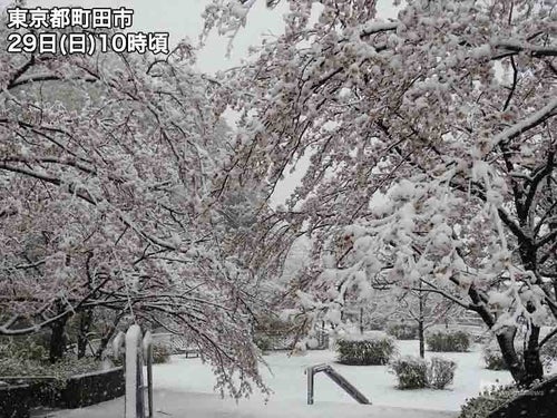 雪見 9b01528d3417d581c75dd15f157496