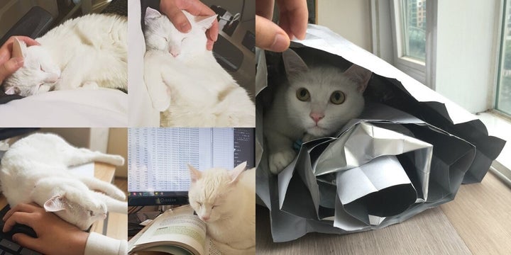 좋은 일 많이 생기라는 뜻에서 '대길이'로 이름을 지었다는 성복씨.