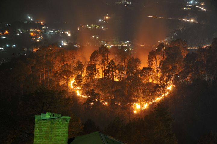 Wildfires burn through jungle near the northern hill town of Shimla in the Indian state of Himachal Pradesh on May 2, 2016. 