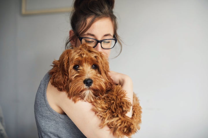 8 Things You Can Do If You Feel Helpless During The Coronavirus Pandemic 2 If you're working from home anyway, now might be a good time to adopt or foster a pet. 