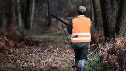 Malgré le confinement, certains chasseurs sont autorisés à reprendre le