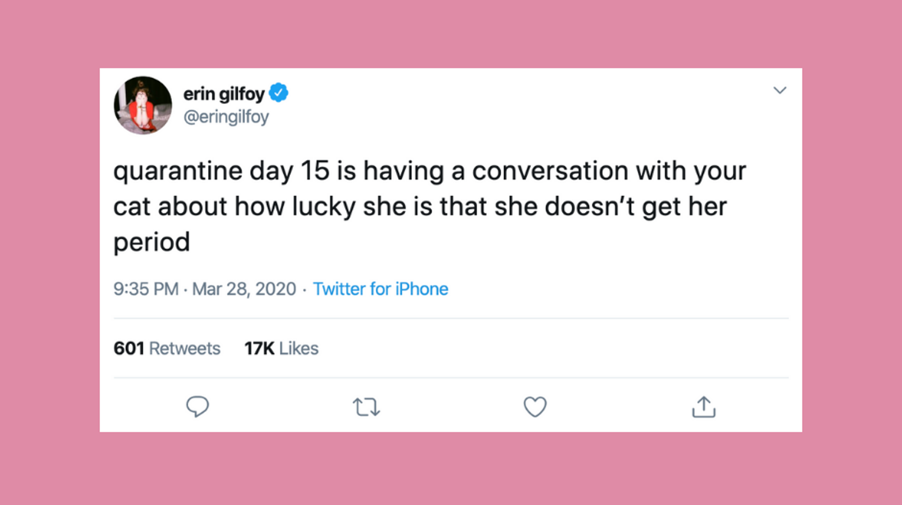 27 Really Funny Tweets About Quarantining With Pets Huffpost Life