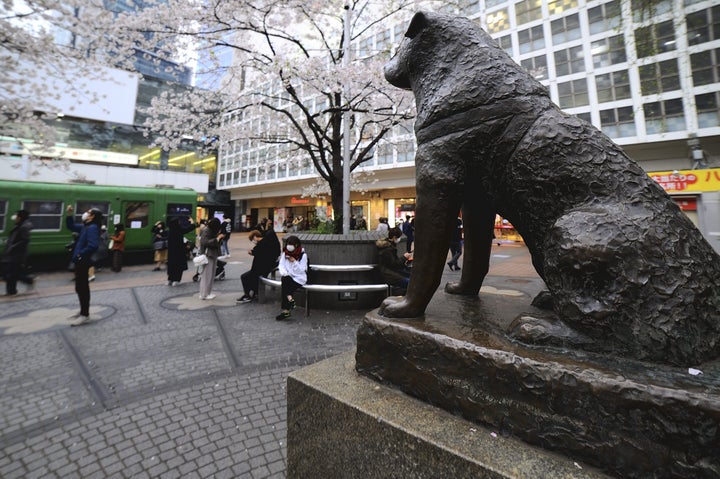 渋谷の様子（イメージ画像）