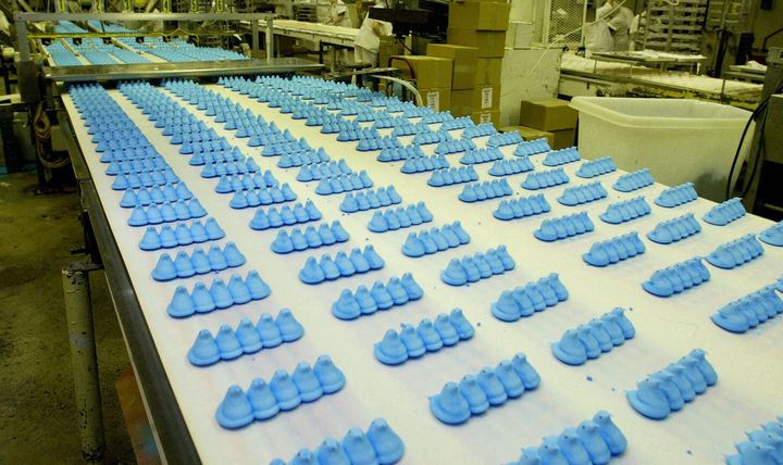 Hundreds of Marshmallow Peeps move down the conveyor belt to be boxed up at Just Born Inc. in Bethlehem, Pennsylvania.