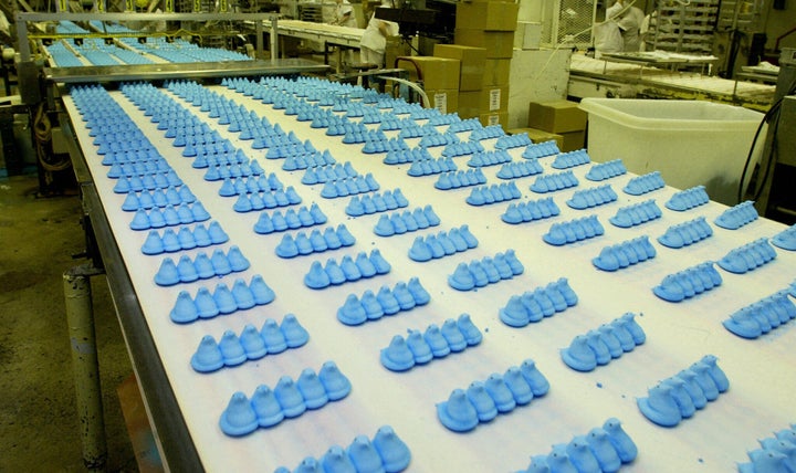 Hundreds of Marshmallow Peeps move down the conveyor belt to be boxed up at Just Born Inc. in Bethlehem, Pennsylvania.