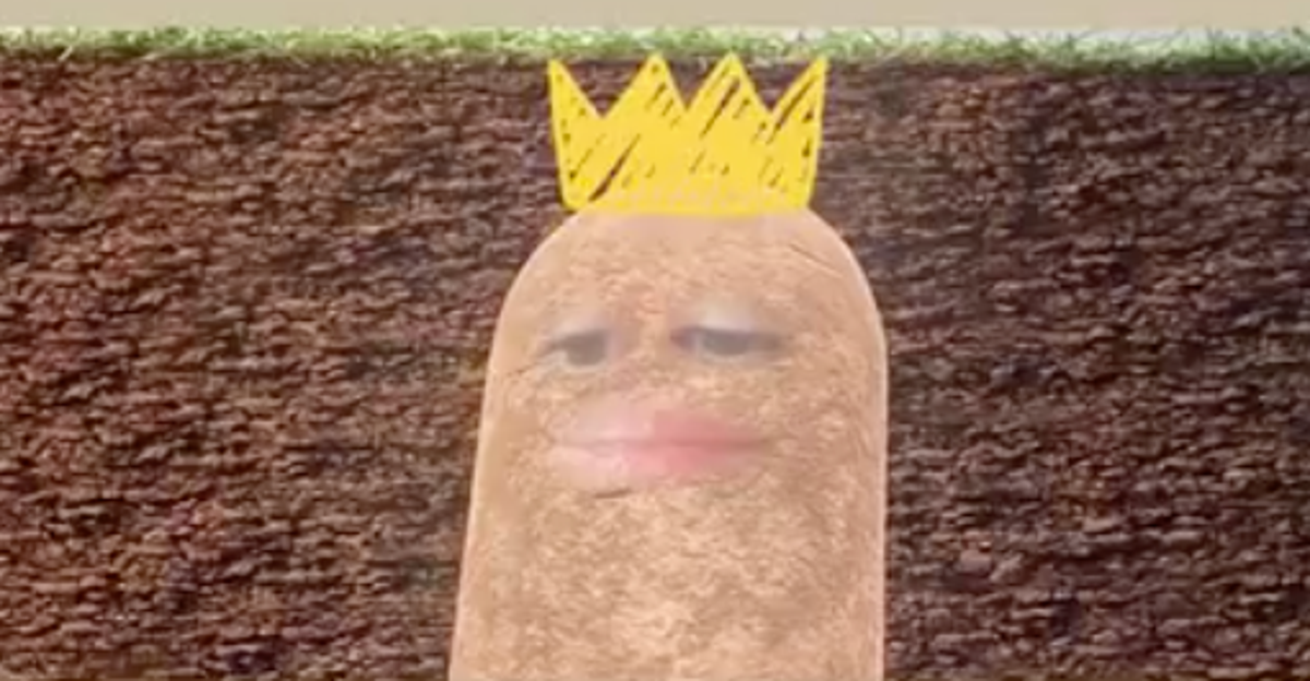 Boss Trapped In Potato Filter For Video Meeting Is Peak WorkFromHome