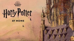 Un site Harry Potter pour occuper les enfants durant le