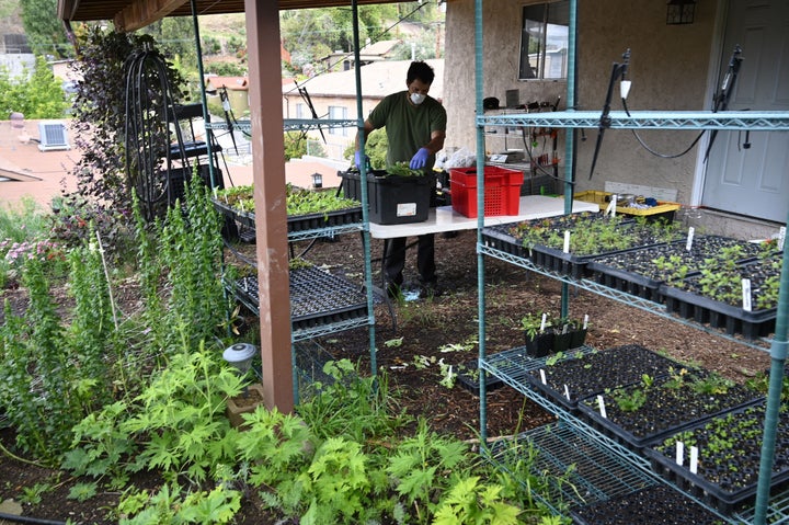 Local farmers say that despite demand from chefs dropping off due to restaurant closures due to the coronavirus, demand for their produce is higher than ever as consumers look for a steady source of fresh food.