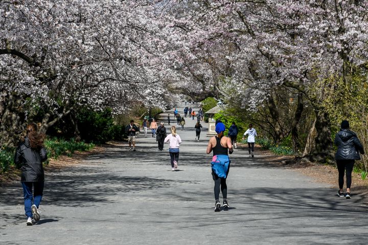 桜が咲くセントラルパークで間隔をあけ、ジョギングをする人＝2020年4月2日