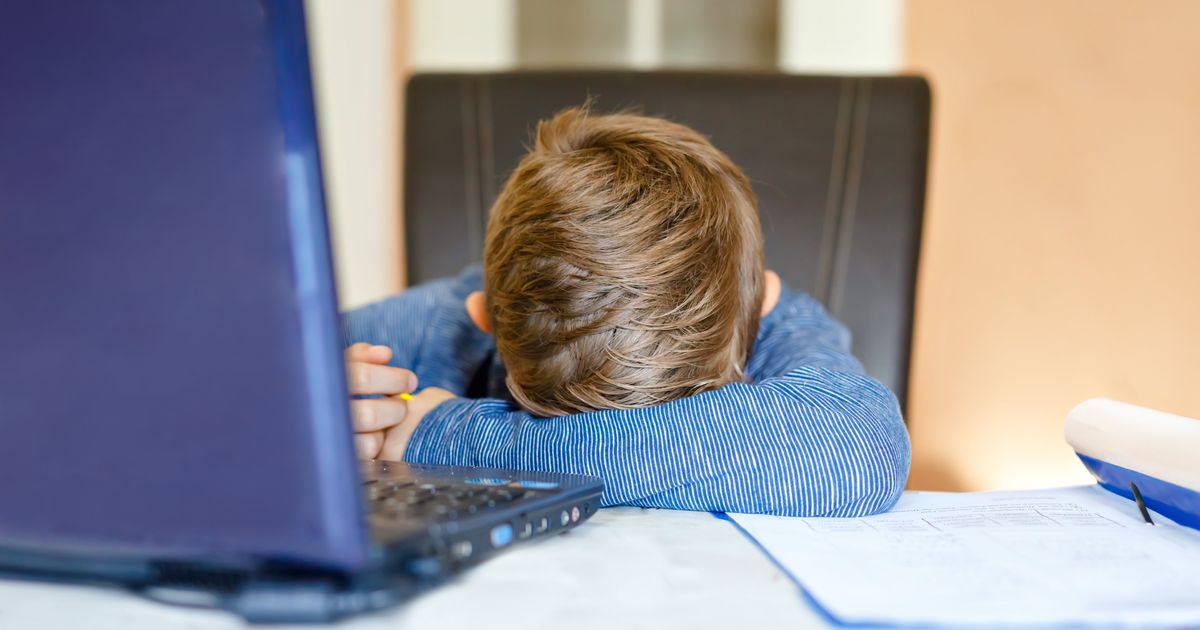 How To Deal If Your Kid Hates Remote Learning During The Coronavirus Pandemic