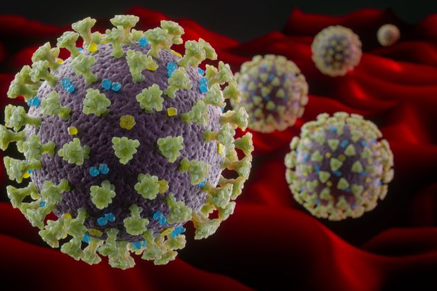 Μιράντα Δρογκάρη-Απειρανθίτου: «O ιός αυτός δεν μπορεί να είναι κατασκεύασμα