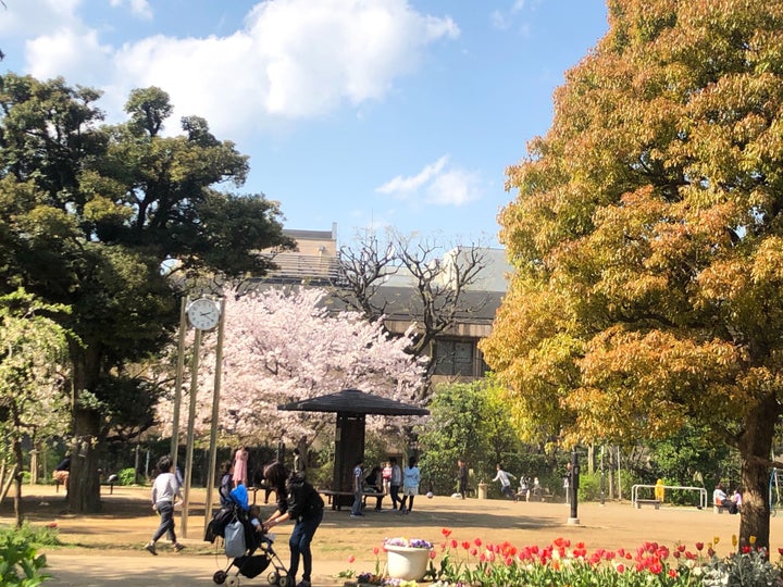 公園には親子連れの姿が見られた＝2020年4月6日、東京都内