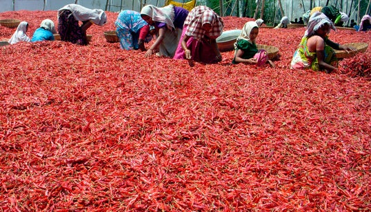 Lockdown Slowdown: Shuttered Markets, Missing Labour, India’s Farmers Brace For A Bitter