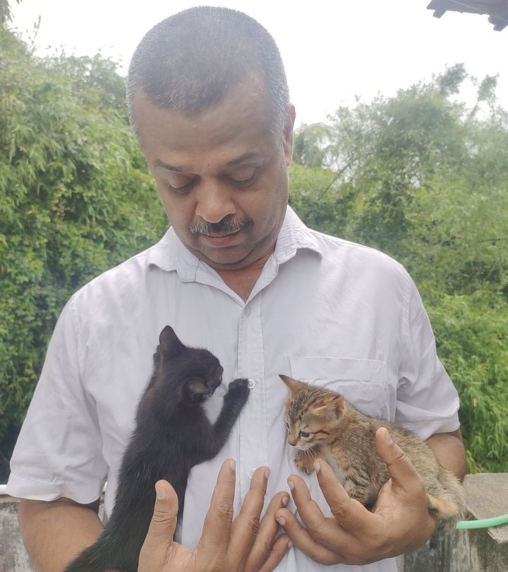 N Prakash and two of his kittens.