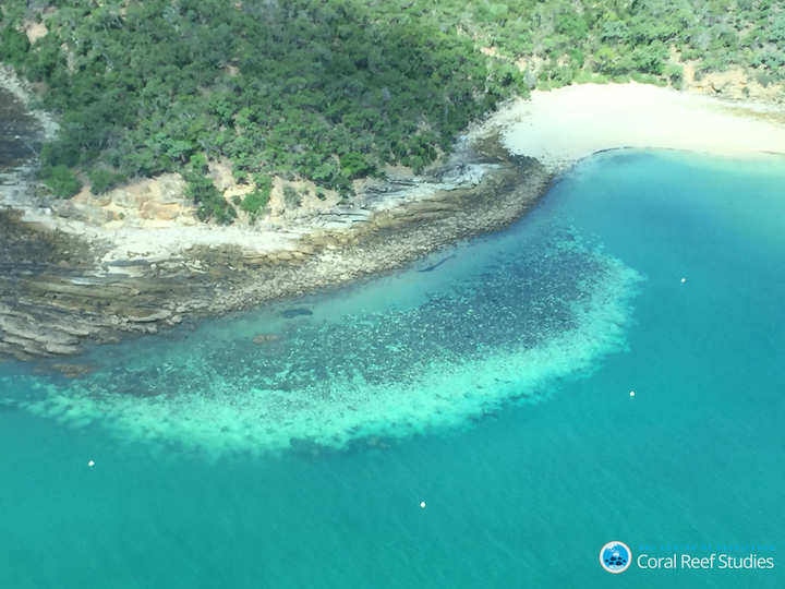 “For the first time, severe bleaching has struck all three regions of the Great Barrier Reef," Hughes wrote on Tuesday.