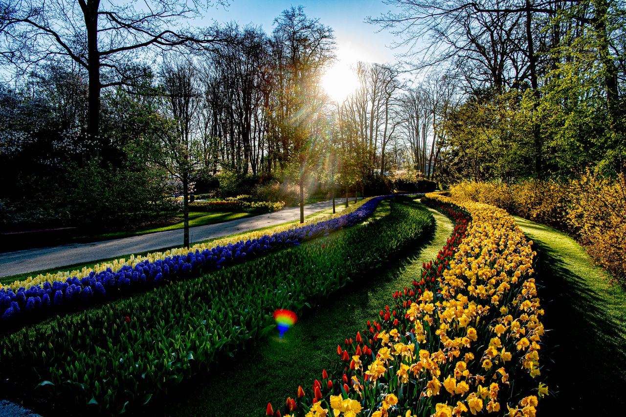 Ολλανδία 6 Απριλίου 2020 (Photo by Robin Utrecht/SOPA Images/LightRocket via Getty Images)