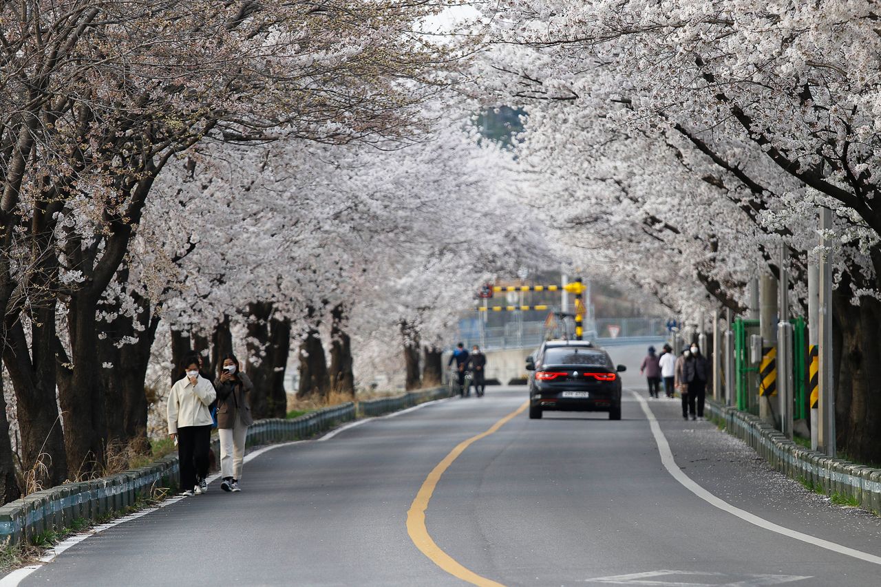 Νότια Κορέα (Seung-il Ryu/NurPhoto via Getty Images)